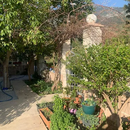 Karaca